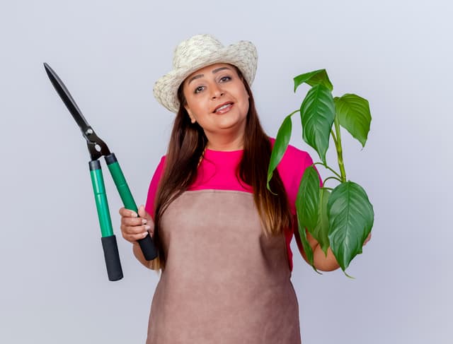 Naima Mezgouri - Fondatrice