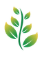 OrnoPlante Logo